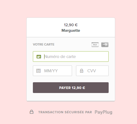 Capturepayplug2